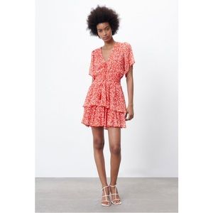 Zara Ruffled Printed Mini Dress